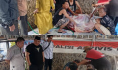Dua Periode Berturut-turut, Herman Deru Percayakan Yan Coga Salurkan Sapi Kurban untuk Rakyat