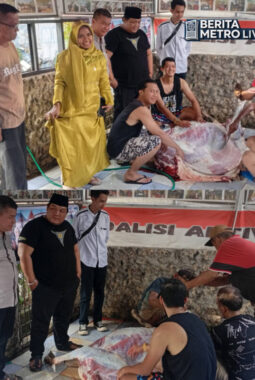 Dua Periode Berturut-turut, Herman Deru Percayakan Yan Coga Salurkan Sapi Kurban untuk Rakyat