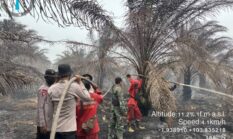 Operasi Aman Nusa II, 10 Personel Satbrimob Padamkan Karhutla di Bayung Lencir