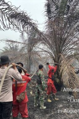 Operasi Aman Nusa II, 10 Personel Satbrimob Padamkan Karhutla di Bayung Lencir