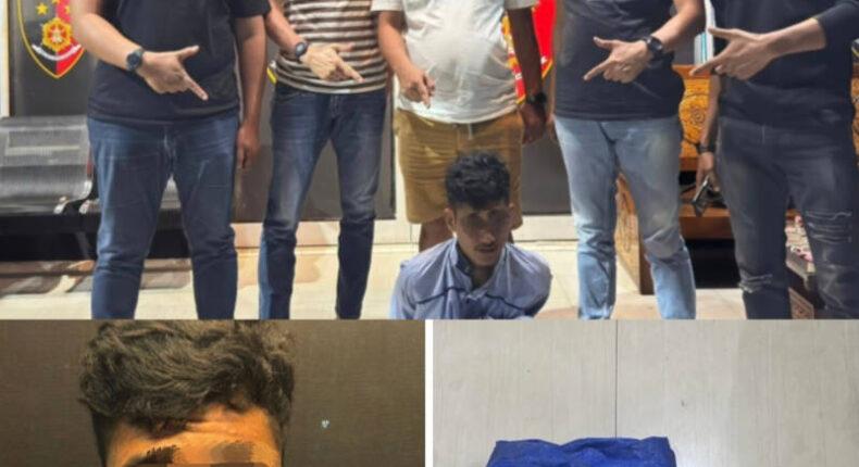 foto slider headline